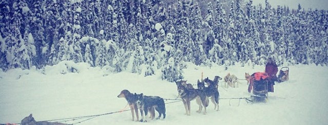 Funky Blvd. is one of Sled Dog Trails.