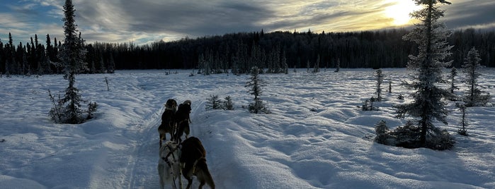 The Swamp is one of Sled Dog Trails.
