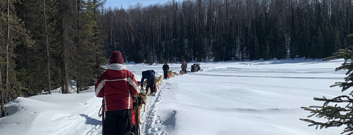 Windy Lake is one of Sled Dog Trails.