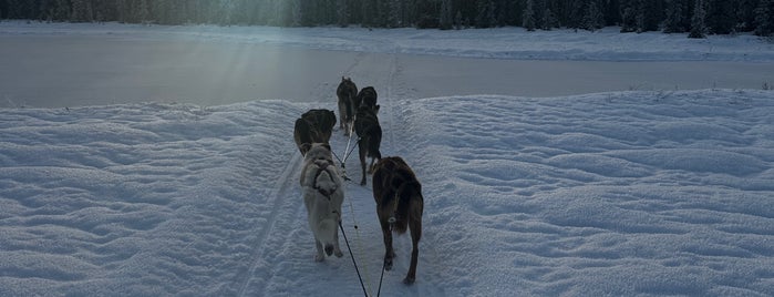 Power-line Trail is one of Mushing.