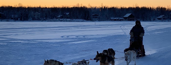 Willow Lake is one of Sled Dog Trails.