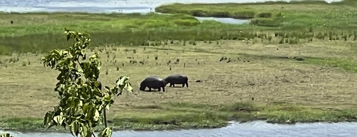 Chobe National Park is one of santjordiさんのお気に入りスポット.