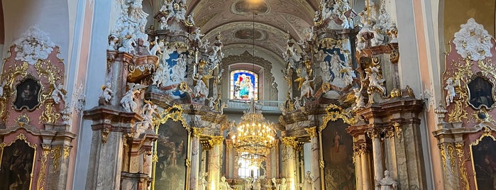 Šv. Dvasios (Domininkonų) bažnyčia  | Church of the Holy Spirit is one of Orte, die Carl gefallen.