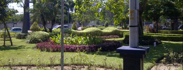 garden/park