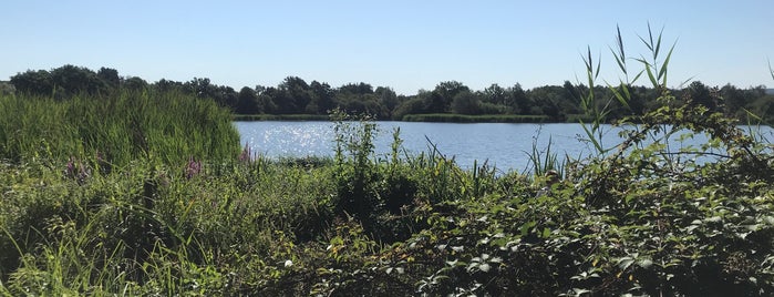 Frensham Little Pond is one of Farnham.