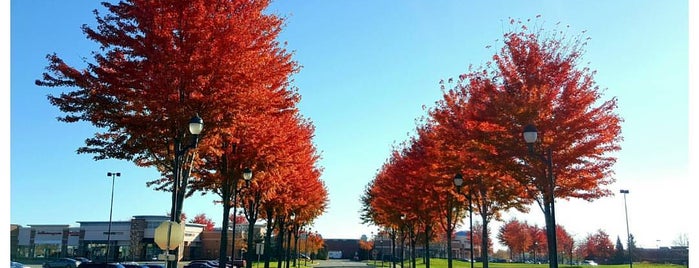 Tamarack Village is one of Locais curtidos por Nate.