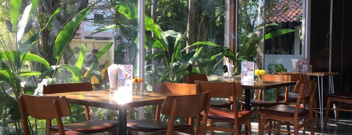 Root is one of Chiang Mai Cafes to visit.