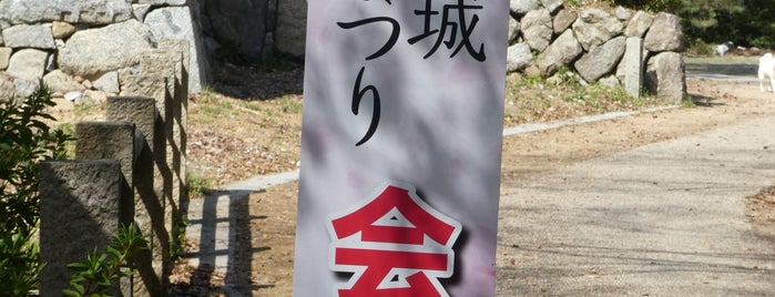 吉田城跡 is one of 行ったことのある城.