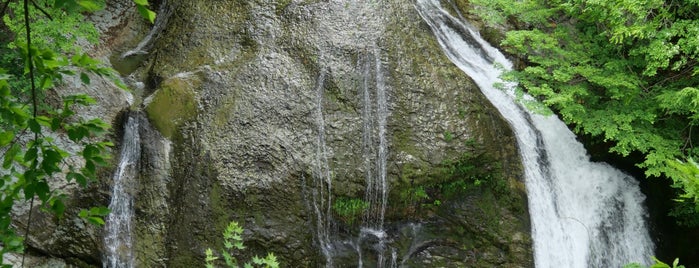 関山大滝 is one of 自然地形.