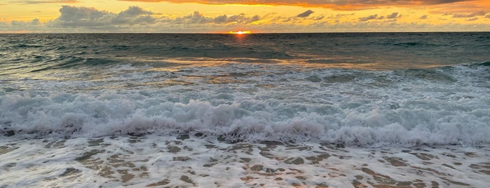 La Sud is one of Capbreton hossegord.