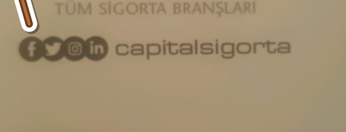 Capital Bireysel Emeklilik Ve Sigorta is one of Serkan : понравившиеся места.
