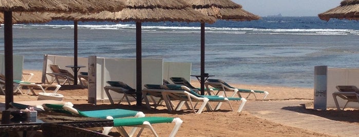 Beach Bar at Rixos Sharm El Sheikh is one of Посетить.