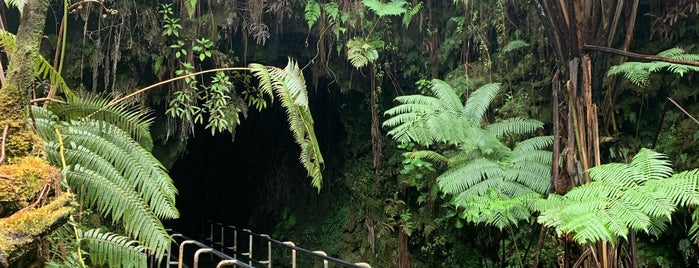 Nāhuku - Thurston Lava tube is one of Hawaii Island.