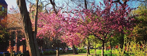 Tompkins Square Park is one of NYC Favourites.