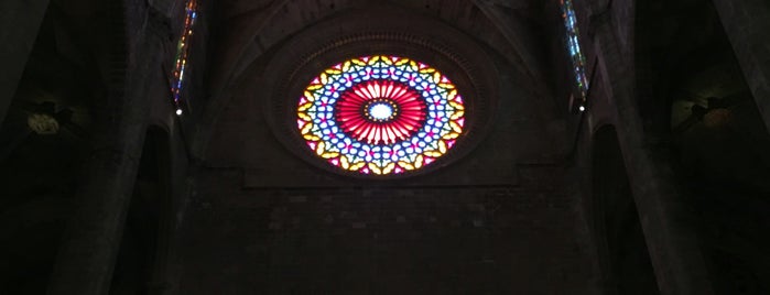 La Seu / Catedral de Mallorca is one of Rick'in Beğendiği Mekanlar.