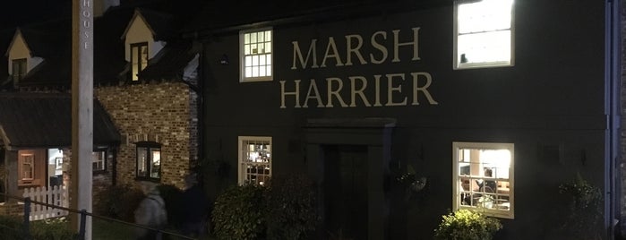 The Marsh Harrier is one of Norfolk.