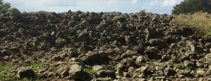 Ulupo Heiau State Historical Monument is one of Not For Tourists Hawaii.