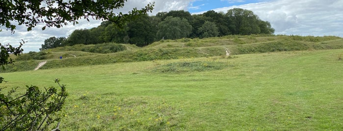 Badbury Rings is one of Dorset.