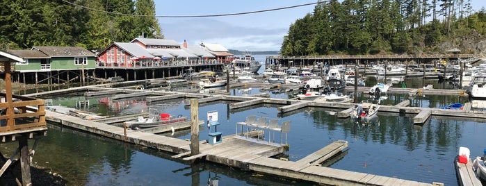 Telegraph Cove Marina is one of Vancouver Island.