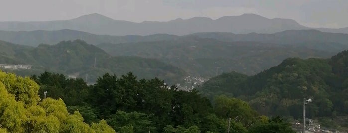 Izunokuni is one of 中部の市区町村.
