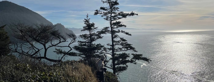 Cape Falcon Lookout is one of Portland 2014.