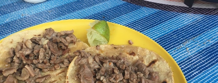 Taqueria El Chaparrito is one of Tacos y Similar.