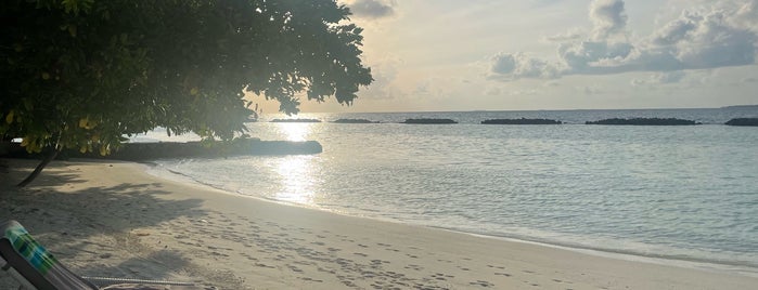 Kurumba is one of sultan’s Liked Places.