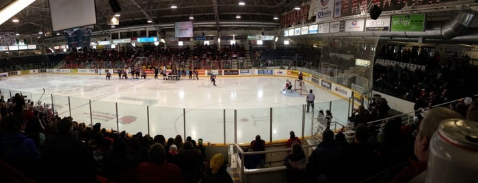 Gatorade Garden City Complex is one of OHL Arenas.