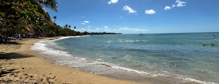 Playa Marina is one of playas aroun the world.