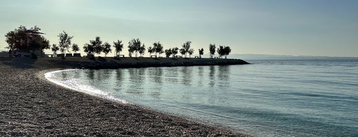 Obojena Svjetlost is one of Kroatia 2023.