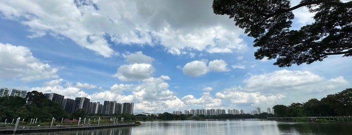 Jurong Lake Gardens is one of Singapur #3 🌴.