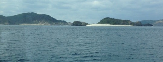 Agenashiku Island is one of ラムサール条約登録湿地(Ramsar Convention Wetland in Japan).