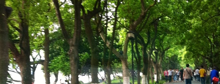 Orioles Singing in the Willows is one of Hangzhou.