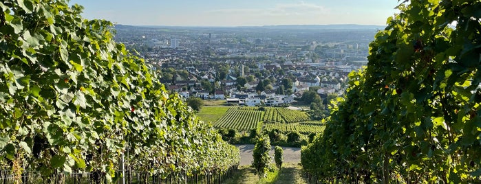 Must-visit Great Outdoors in Heilbronn