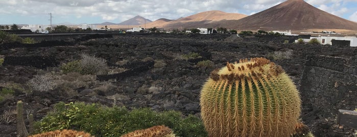 Jardin de Cactus is one of [ Islas Canarias ].
