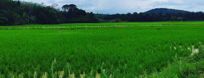 Kuala klawang is one of สถานที่ที่บันทึกไว้ของ ꌅꁲꉣꂑꌚꁴꁲ꒒.