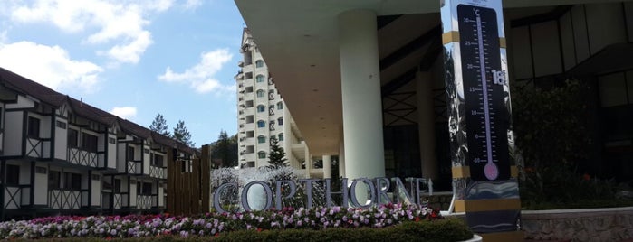 Copthorne Hotel is one of Cameron.