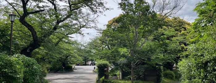 Kamonyama Park is one of 横浜の花見スポット.