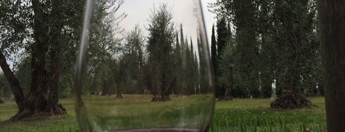 Azienda Agricola Félsina is one of Chianti Classico Tasting at Winery.