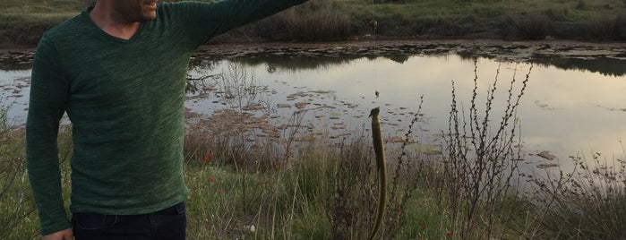 Akbaş Plajı is one of Gül'un Kaydettiği Mekanlar.