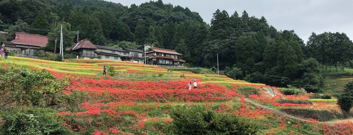 江里山 is one of 日本の棚田百選.