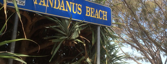 Pandanus Beach is one of Brisbane to do.