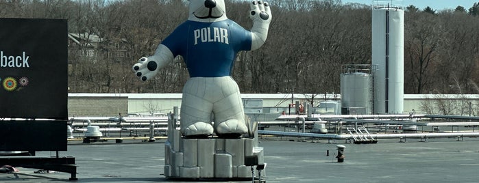 Polar Bear Sign is one of Worcester to-do.