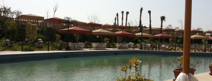 Wadi Degla Club (Sheraton) is one of Locais curtidos por Fady.