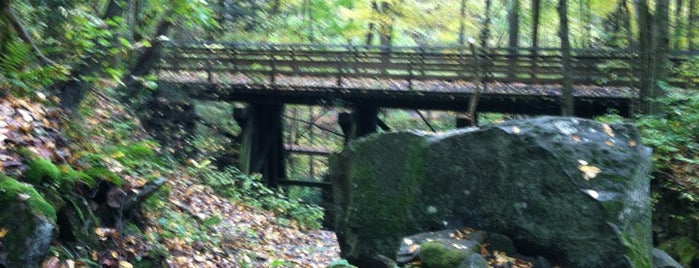 Hawk's Nest Rail-Trail is one of West Virginia.