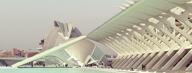Auditorio Santiago Calatrava is one of Locais curtidos por Sergio.