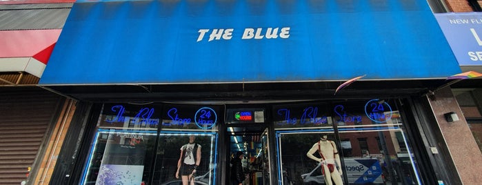 The Blue Store is one of สถานที่ที่ Ric ถูกใจ.