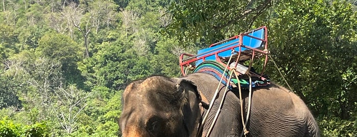 Sea View Elephant Camp is one of Phuket.