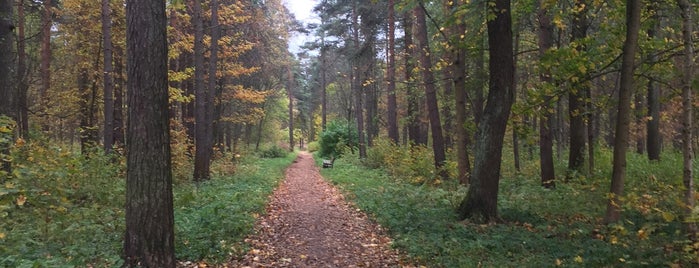 Нижний парк is one of Сестрорецк и побережье Финского залива.