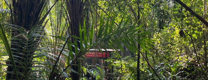 Taman Tugu Nursery Forest is one of Куала Лумпур.